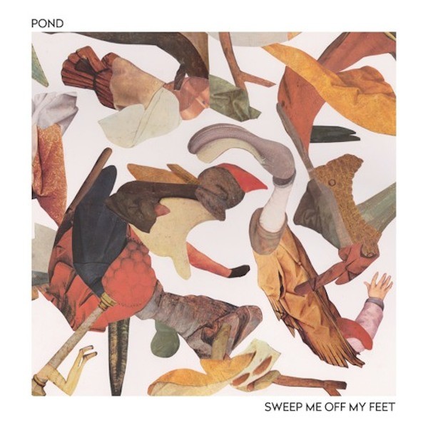 pond-sweep